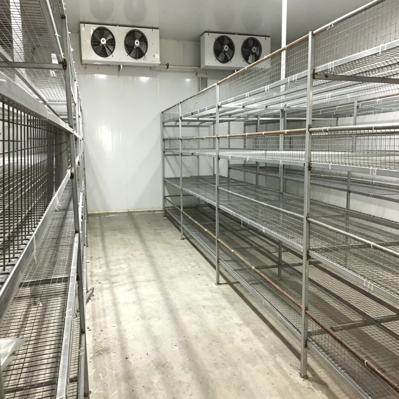 Hydroponic Container Farm with - Urban Farming Indoor recension och pris