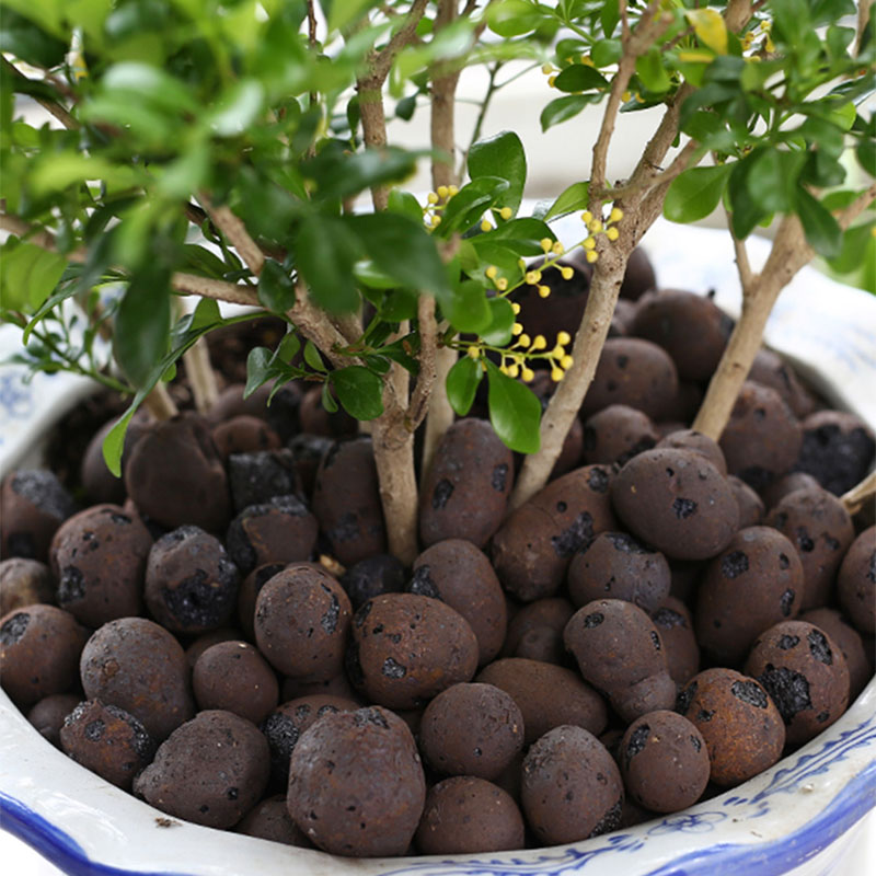 500g Organic light ceramsite C - Clay Pebble Growing recension och pris